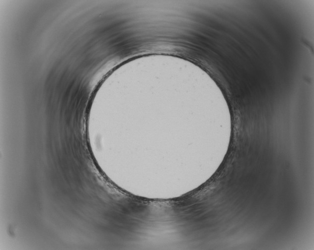 X0000103500944200810241122