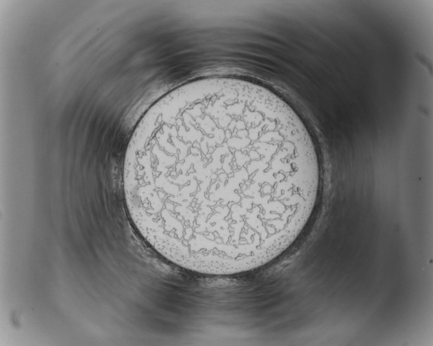 X0000103500945200810241122