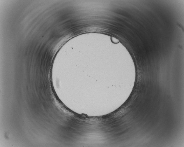 X0000103500946200810241122