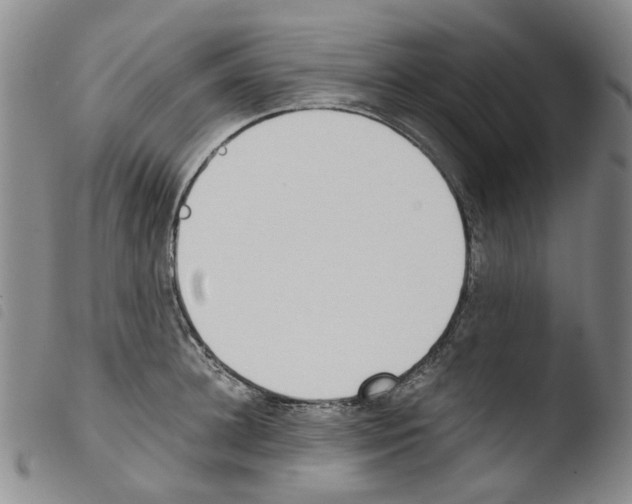 X0000103500948200810241122