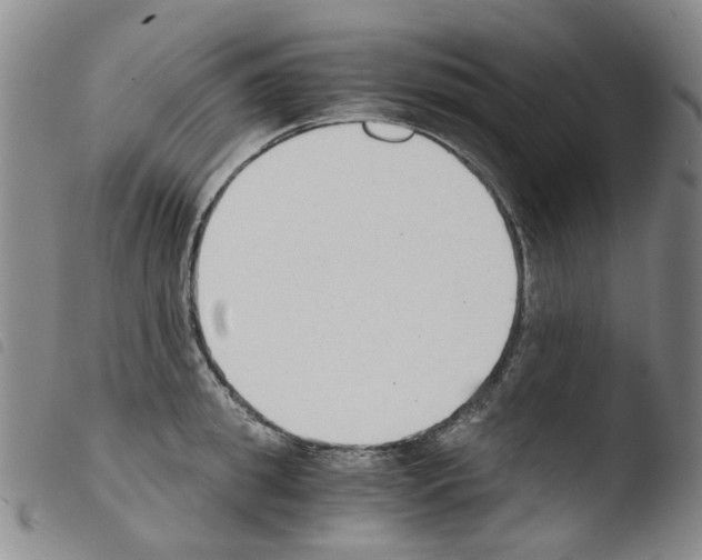 X0000103500949200810241122