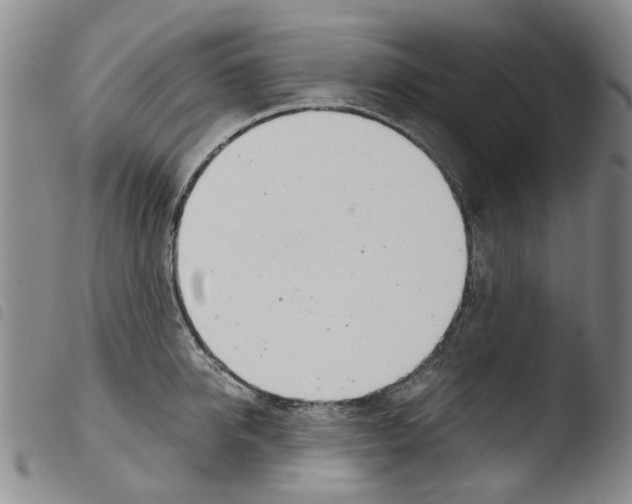 X0000103500950200810241122