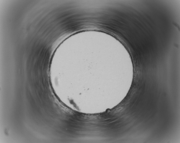 X0000103500951200810241122