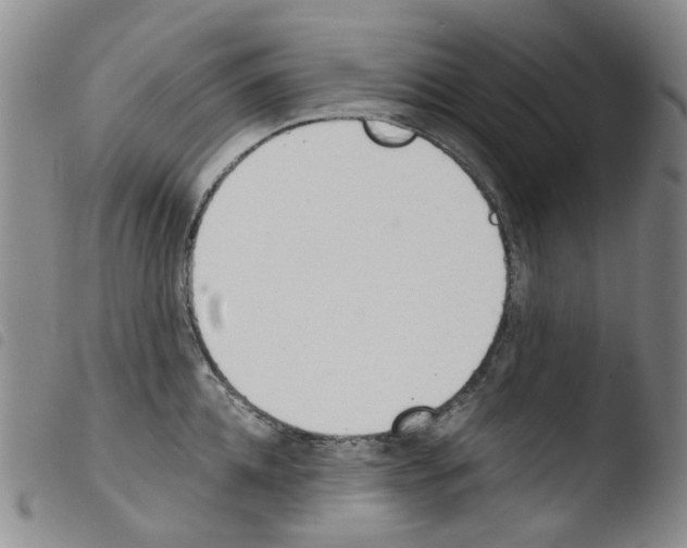 X0000103500952200810241122