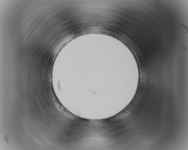 X0000103500954200810241122