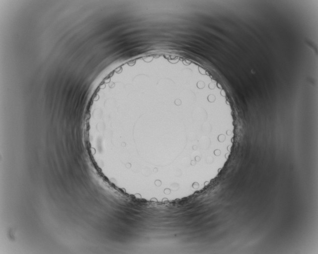 X0000103500955200810241122