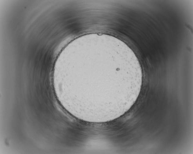 X0000103500958200810241122