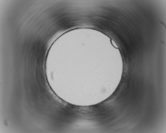 X0000103500959200810241122