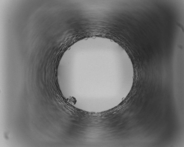 X0000103500961200810241121