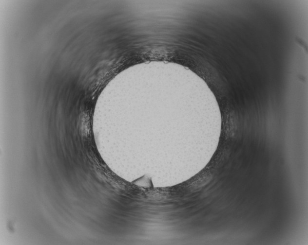 X0000103500962200810241121