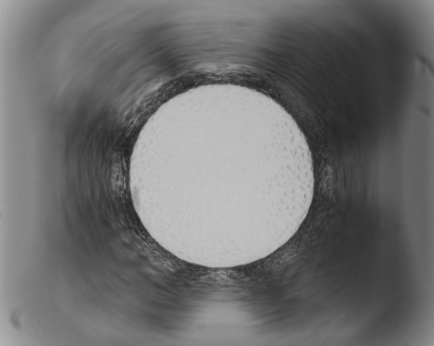 X0000103500966200810241121