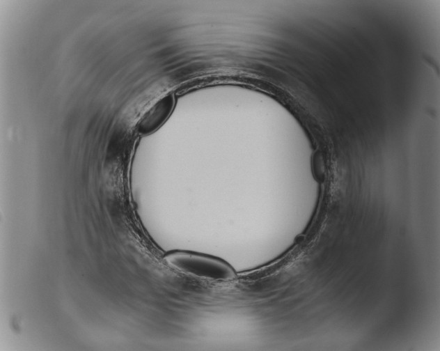 X0000103500969200810241121