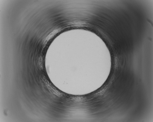 X0000103500970200810241121