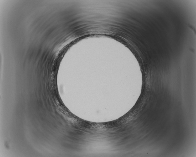 X0000103500971200810241121