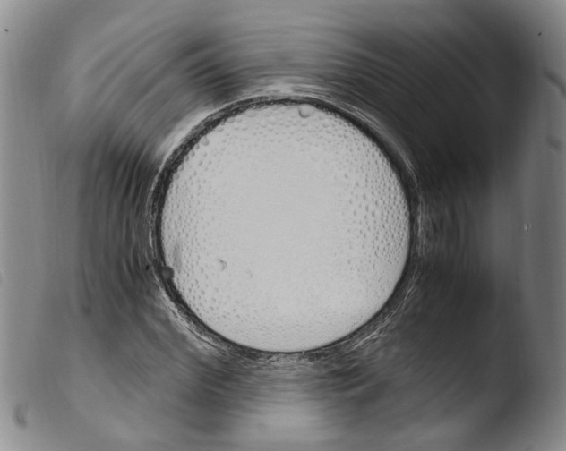 X0000103500972200810241121