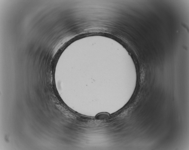 X0000103500973200810241121