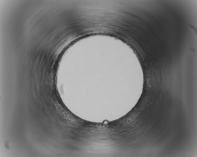 X0000103500975200810241121