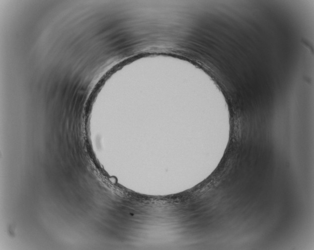 X0000103500976200810241121