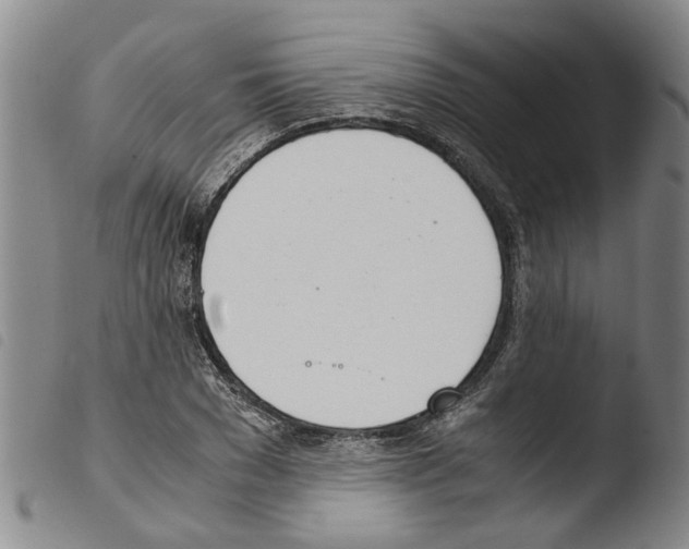 X0000103500977200810241121