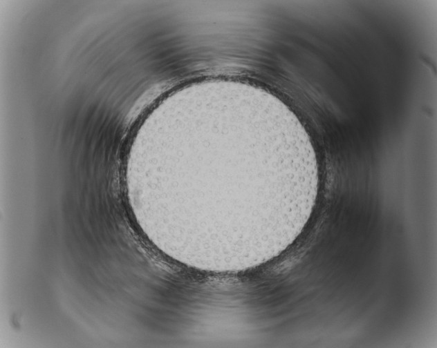 X0000103500978200810241121