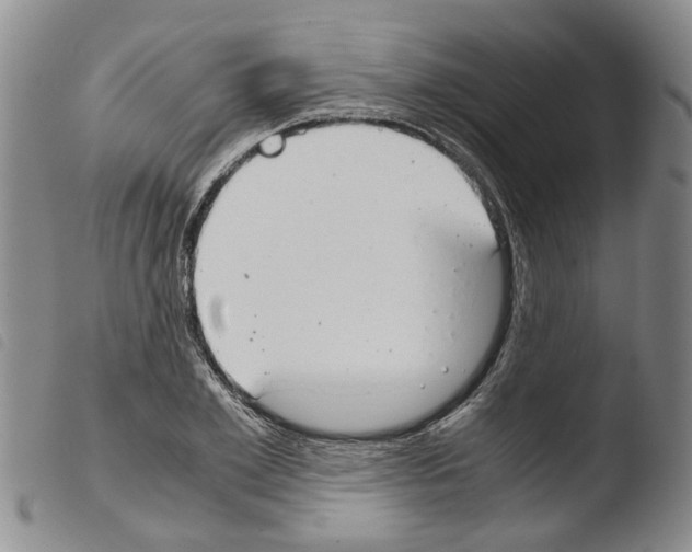 X0000103500981200810241121