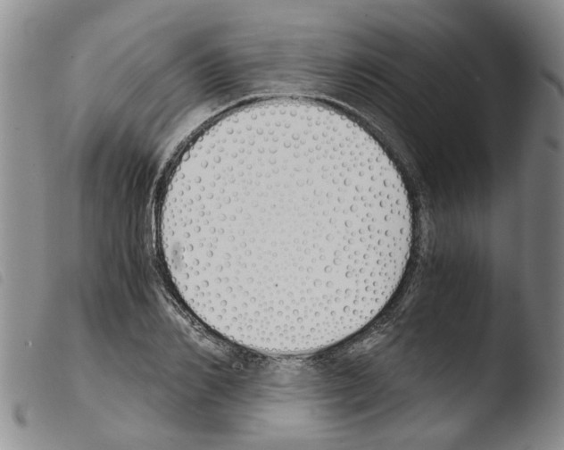 X0000103500982200810241121