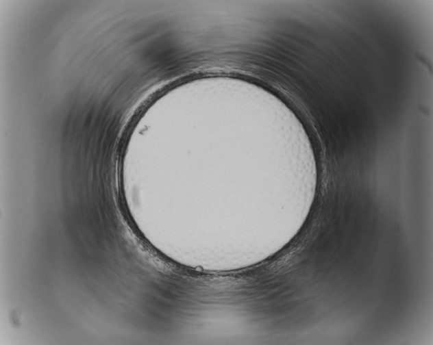 X0000103500984200810241121