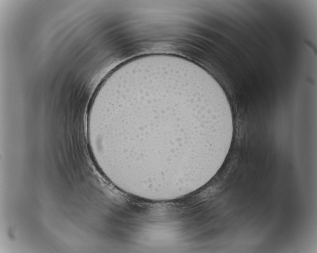 X0000103500988200810241121