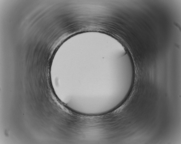 X0000103500989200810241121