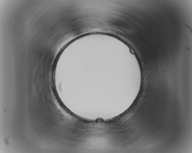 X0000103500991200810241121