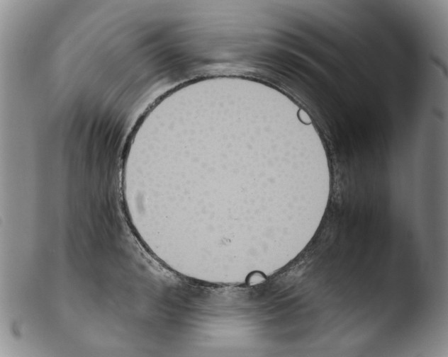 X0000103500992200810241121