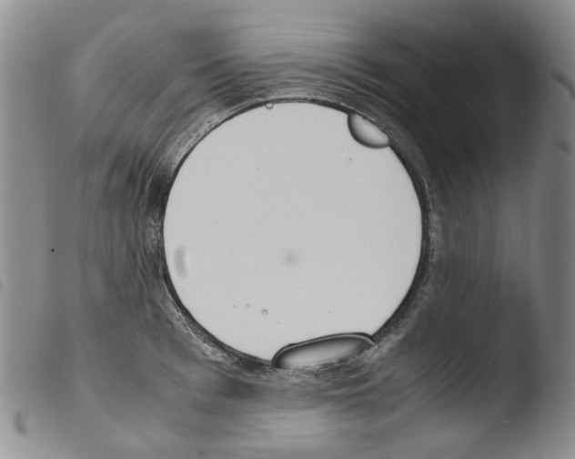 X0000103500993200810241121