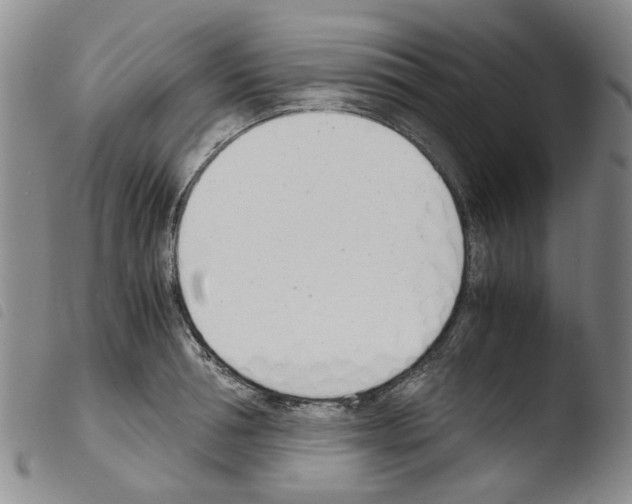 X0000103500994200810241121