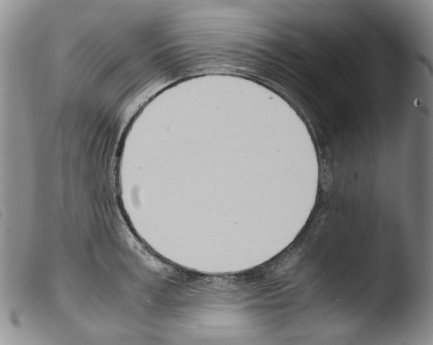 X0000103500995200810241121