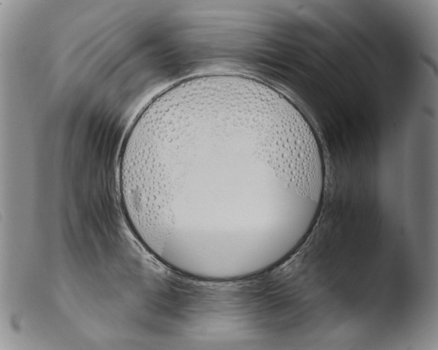 X0000103500996200810241121