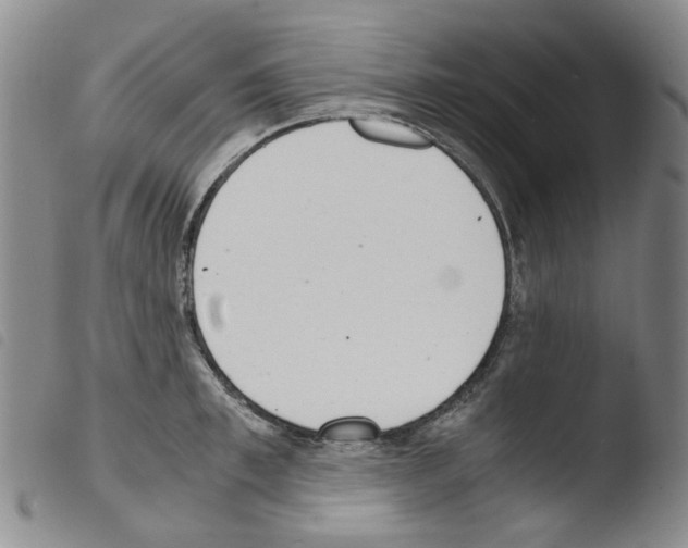 X0000103500997200810241121