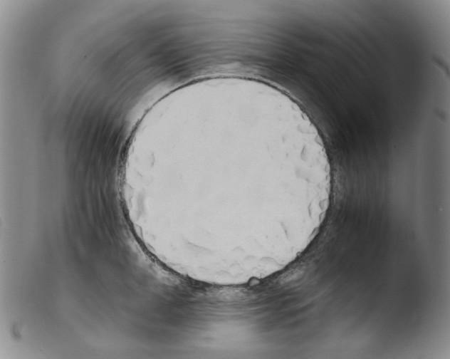 X0000103500998200810241121