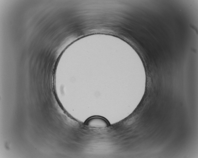 X0000103500999200810241121