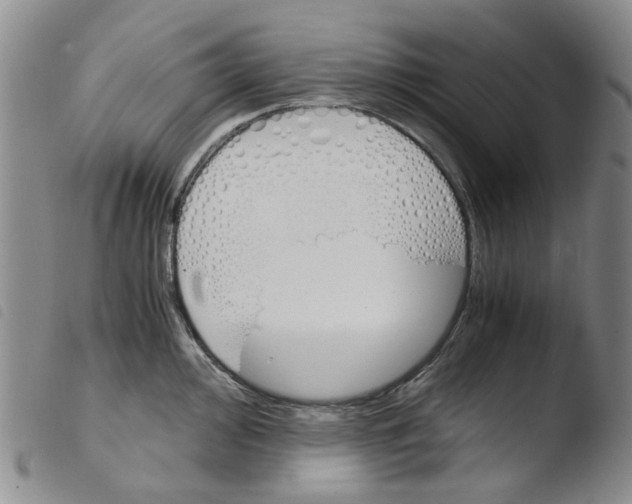 X0000103501000200810241121