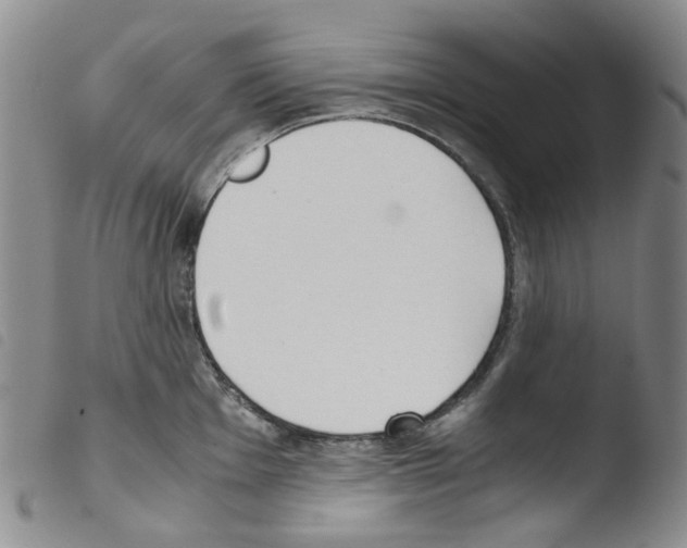 X0000103501001200810241121