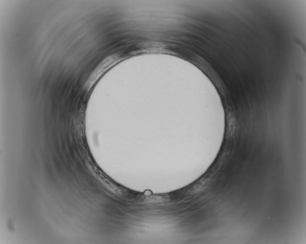 X0000103501002200810241121