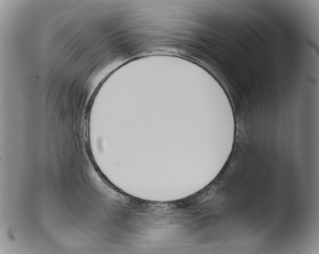 X0000103501003200810241121