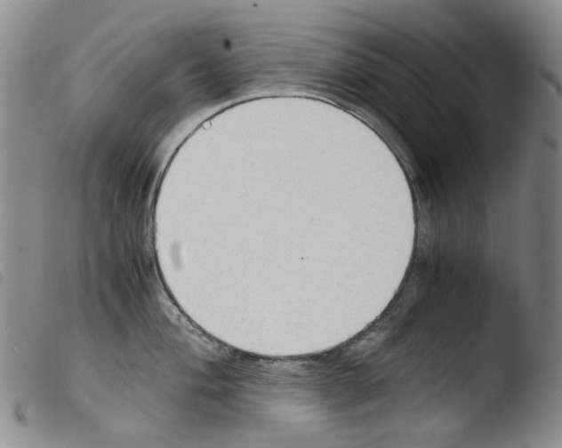 X0000103501004200810241121