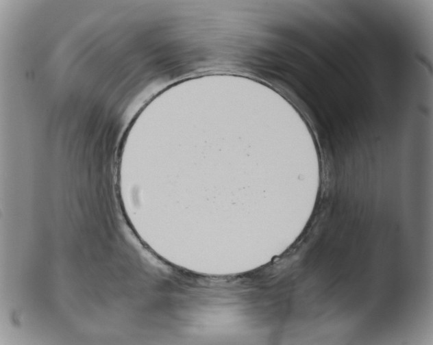 X0000103501005200810241121