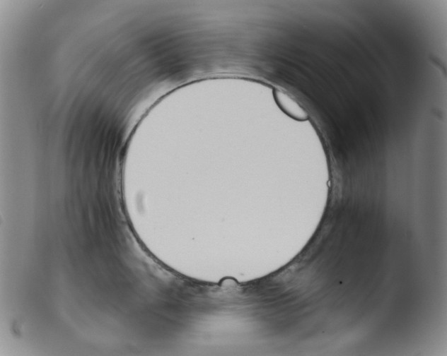 X0000103501006200810241121