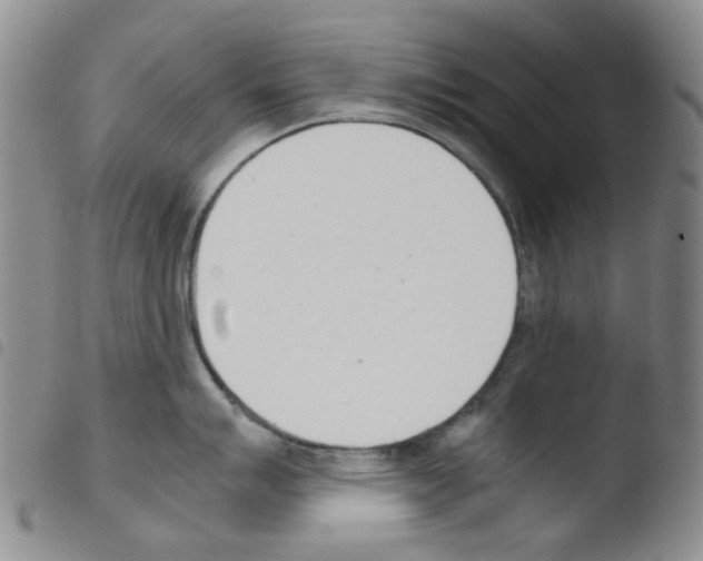 X0000103501007200810241121