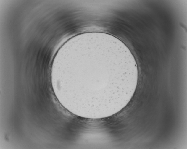 X0000103501008200810241121