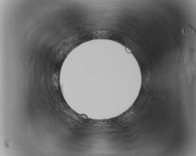 X0000103501010200810241120