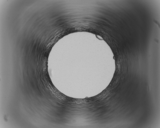 X0000103501012200810241120