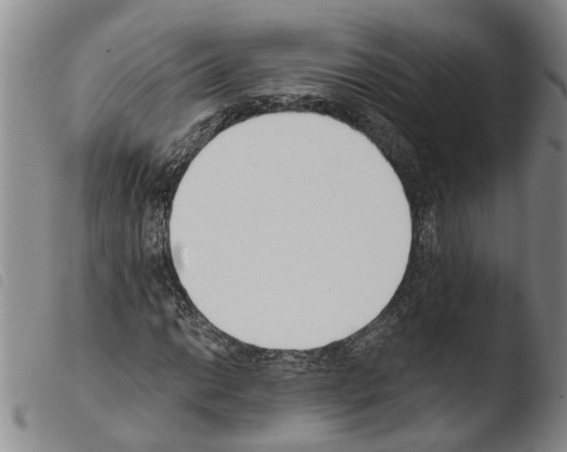 X0000103501014200810241120